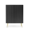 Wysoka komoda czarna Zova K103, widok z przodu, dwoje drzwiczek, frezowane fronty MDF, złote nóżki 23 cm, styl Total Black miniatura